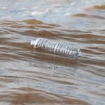 Αυστραλιανή πολιτεία απαγορεύει τα εμβληματικά μπουκάλια σάλτσας σόγιας σε σχήμα ψαριού