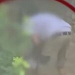 Κτηνωδία στην Πεύκη: Άνδρας εκπαιδεύει κυνηγόσκυλα σκοτώνοντας αδέσποτα γατάκια [Βίντεο]