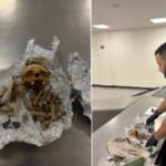 Ανθρώπινο κρανίο και οστά ανακαλύφθηκαν σε αποσκευές επιβάτη στο αεροδρόμιο της Φλόριντα – Τα είχε τυλιγμένα σε… αλουμινόχαρτο