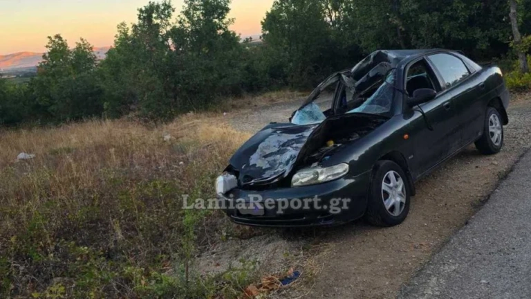Φθιώτιδα: Τροχαίο με τρεις τραυματίες – ΙΧ έπεσε πάνω σε αγελάδα στη μέση του δρόμου