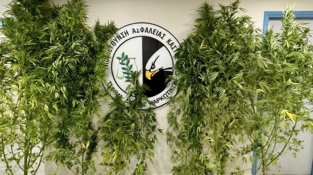 Εντοπίστηκαν 7 δενδρύλλια κάνναβης στην Καστοριά – Ο αστυνομικός σκύλος «Ορφέας» αποκάλυψε τη 
