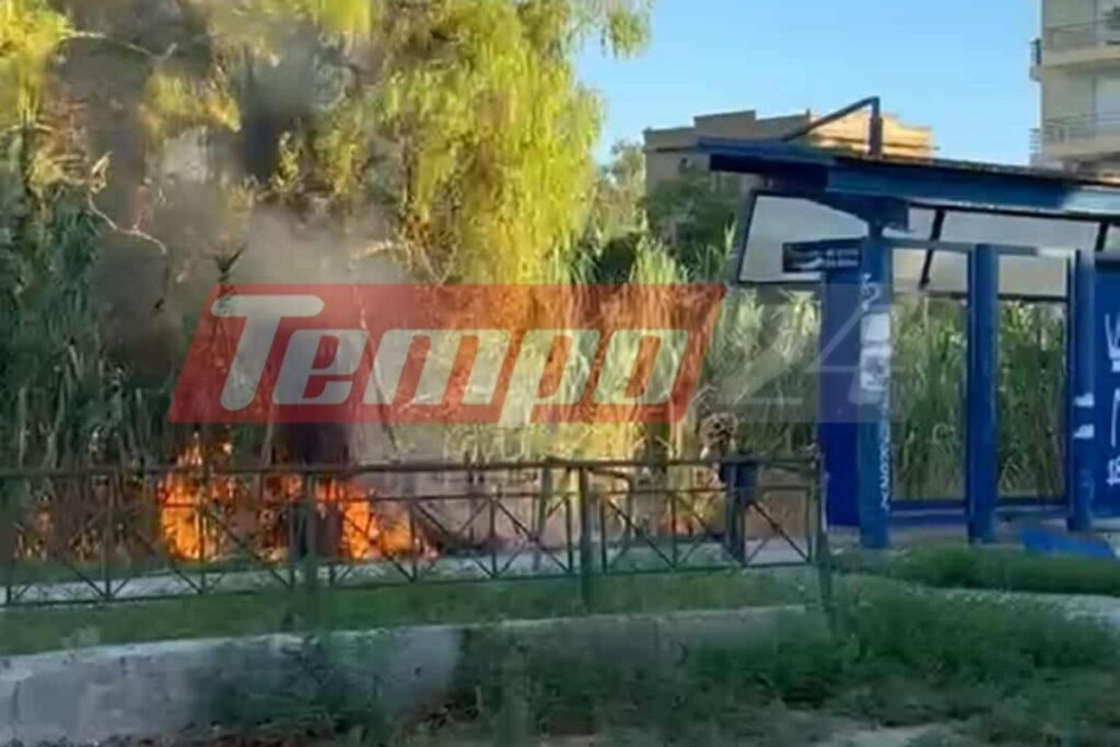 Φωτιά στον Προαστιακό της Πάτρας: Συνελήφθη ύποπτος – Τον εντόπισαν κάτοικοι της περιοχής