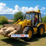 Σοκαριστικές εικόνες από επίθεση άγριων ζώων σε κοπάδι προβάτων έξω από τα Τρίκαλα