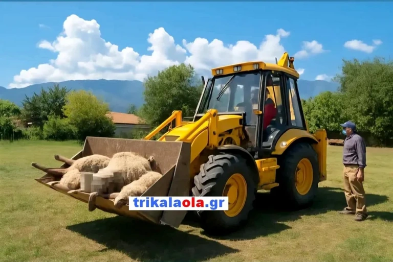 Σοκαριστικές εικόνες από επίθεση άγριων ζώων σε κοπάδι προβάτων έξω από τα Τρίκαλα