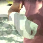 Κορυδαλλός: Άγριος καβγάς για μια θέση πάρκινγκ – Διανομέας δάγκωσε οδηγό και του έκοψε το δάχτυλο [βίντεο]