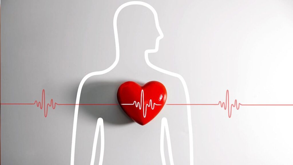 Stress echo: Τεστ κοπώσεως χωρίς ακτινοβολία και σκιαγραφικά