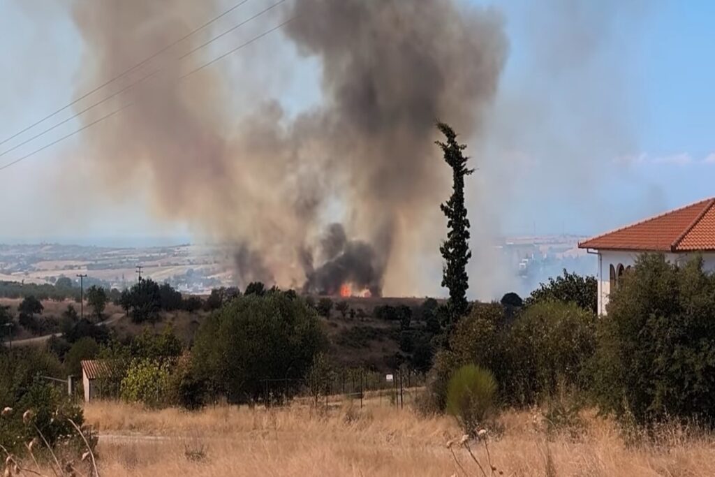 Θεσσαλονίκη: Φωτιά στο Πλαγιάρι – Επιχειρούν εναέρια μέσα [Βίντεο]