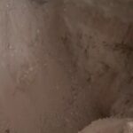 Βοιωτία: Αυτό είναι το ποσό για το οποίο η 62χρονη έθαψε τη μητέρα της – Πόσα χρήματα θα επιστρέψει [Βίντεο]