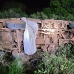 Φρίκη στη Βραζιλία: Μέλισσες σκότωσαν πατέρα και κόρη μετά από φρικτό τροχαίο – ‘Επεσαν σε κυψέλη με το φορτηγό τους