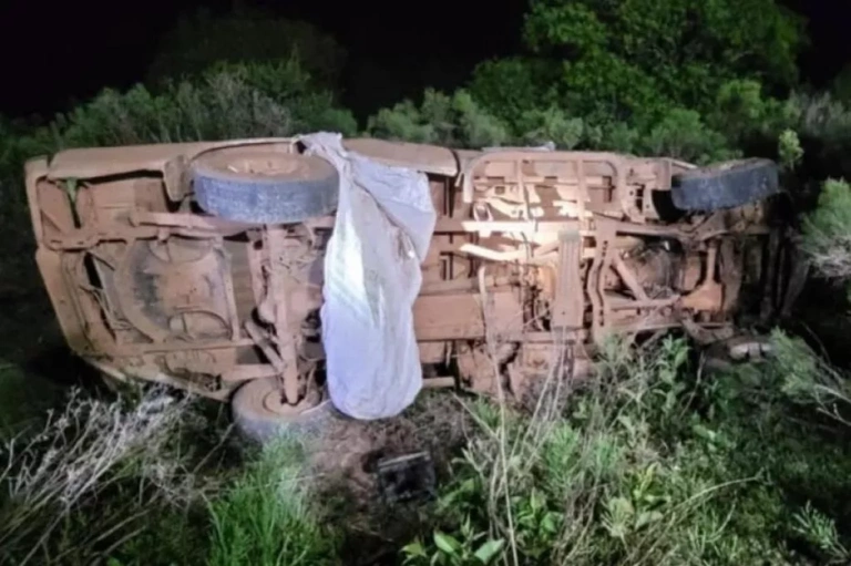 Φρίκη στη Βραζιλία: Μέλισσες σκότωσαν πατέρα και κόρη μετά από φρικτό τροχαίο – ‘Επεσαν σε κυψέλη με το φορτηγό τους