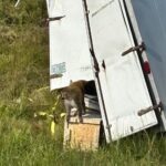 Χάος στο Μισισίπι: Μαϊμούδες που απέδρασαν προκάλεσαν πανικό – Δεν μεταδίδουν ασθένειες