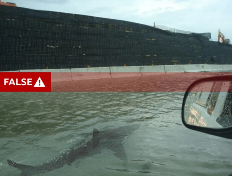 Ψεύτικοι τυφώνες και… καρχαρίες στους δρόμους – Η αλήθεια πίσω από τα viral βίντεο του τυφώνα Μελίσσα