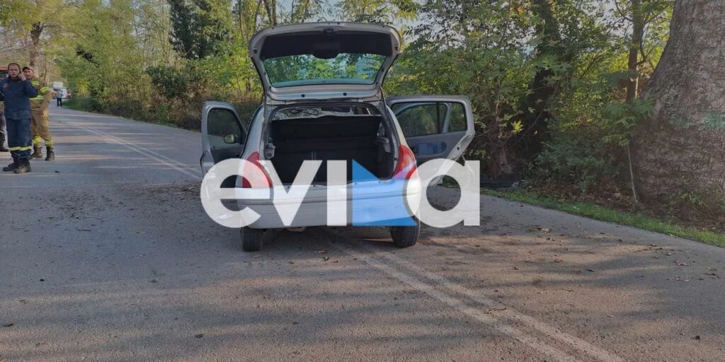 Τροχαίο στην Εύβοια: Αυτοκίνητο καρφώθηκε σε πλάτανο – Τραυματίστηκαν δύο γυναίκες