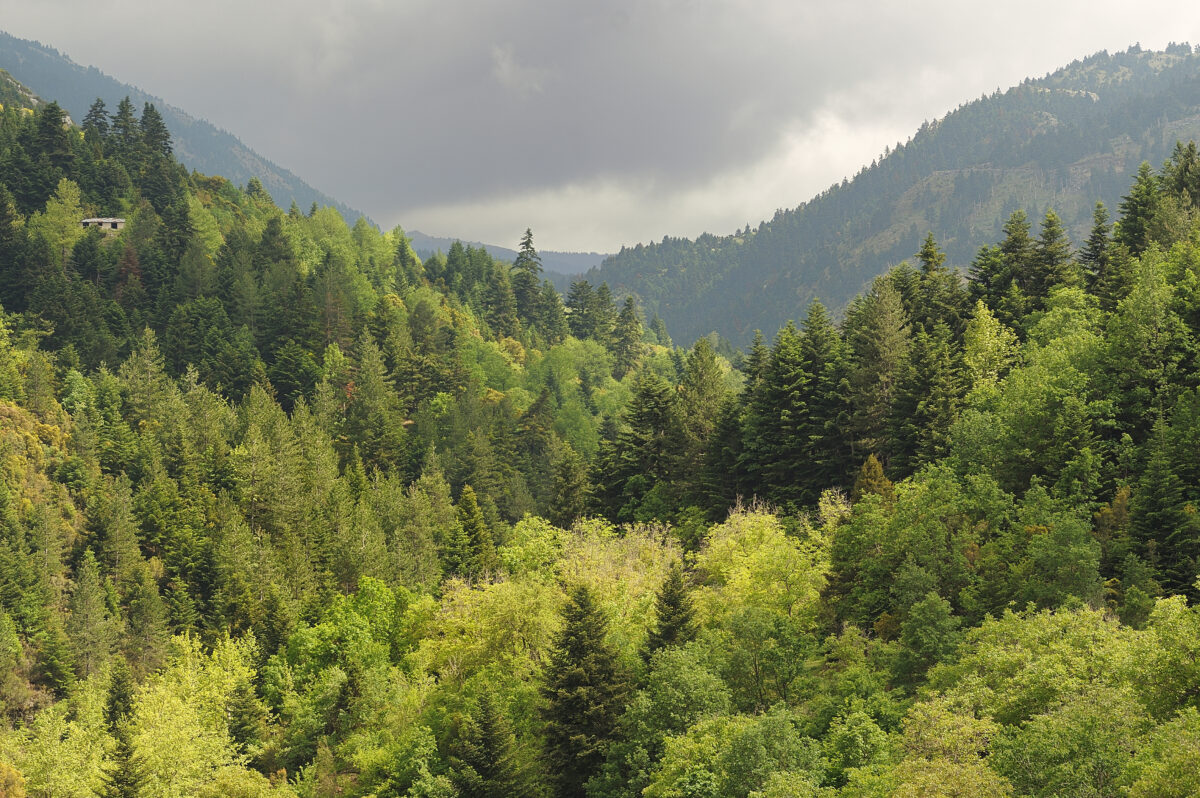 Ο Πάρνωνας και το Μαλέας εντάχθηκαν στο δίκτυο Αποθεμάτων Βιόσφαιρας της UNESCO