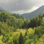 Ο Πάρνωνας και το Μαλέας εντάχθηκαν στο δίκτυο Αποθεμάτων Βιόσφαιρας της UNESCO