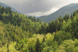 Ο Πάρνωνας και το Μαλέας εντάχθηκαν στο δίκτυο Αποθεμάτων Βιόσφαιρας της UNESCO