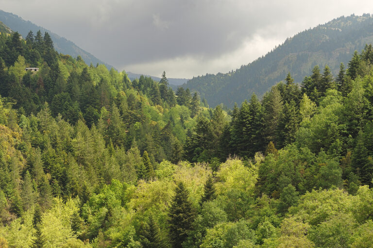 Ο Πάρνωνας και το Μαλέας εντάχθηκαν στο δίκτυο Αποθεμάτων Βιόσφαιρας της UNESCO