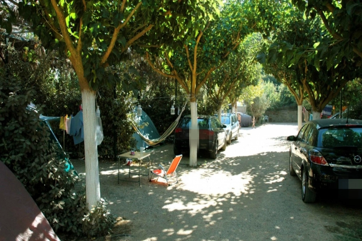 Φοινικούντα