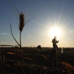 Πανικός στην Αυστραλία: Αποσύρθηκαν 18 αντηλιακά από καταστήματα λόγω φόβων για καρκίνο του δέρματος