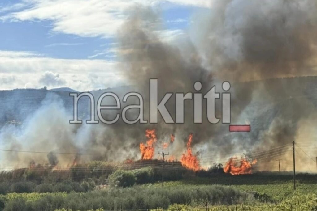 Κρήτη: Φωτιά στις Μαλάδες – Ήχησε το 112