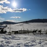 «Έπεσαν» τα πρώτα χιόνια σε Όλυμπο, Φαλακρό και Καϊμακτσαλάν