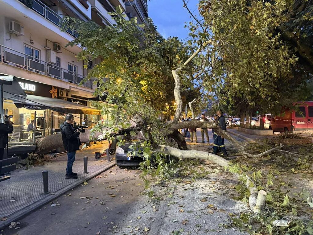 Θεσσαλονίκη: Δέντρο έπεσε σε αυτοκίνητο στην Τούμπα