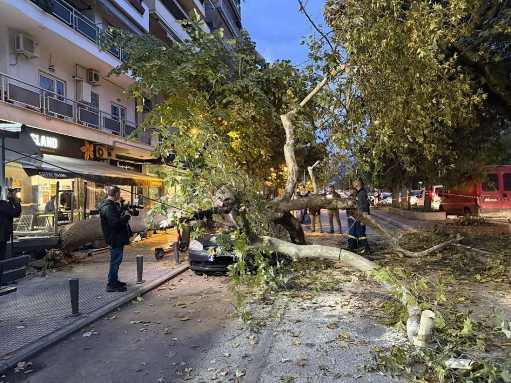 Θεσσαλονίκη: Δέντρο έπεσε σε αυτοκίνητο στην Τούμπα