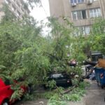 Δέντρο ξεριζώθηκε από την νεροποντή και τραυμάτισε περαστικό στο κέντρο της Αθήνας [Εικόνες]