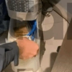 Συνελήφθη 46χρονος στην Αθήνα – Έκρυβε κοκαΐνη, χάπια ecstasy και 6.100 ευρώ σε τάπερ και αφυγραντήρα [βίντεο]