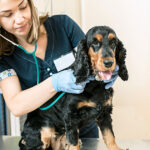 Ώρα για check up – 9 πράγματα που πρέπει να ξέρετε