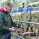 Σταύρος Αλεξάκης: Από τη Γουριώτισσα στις Βρυξέλλες – Τι λέει ο φιναλίστ στον ευρωπαϊκό διαγωνισμό νέων αγροτών στον ΕΤ