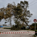 Πάτρα: Σκηνές χάους από τους θυελλώδεις ανέμους – Δέντρα έπεσαν πάνω σε αυτοκίνητα έξω από τον Άγιο Ανδρέα