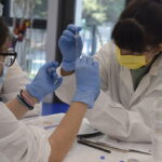 Κολλέγιο Ανατόλια: Ξεκινούν οι εξετάσεις του Κέντρου Χαρισματικών Παιδιών