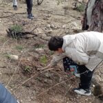 Τα παιδιά «αγκαλιάζουν» τη Δαδιά: Μάθημα ζωής μέσα στο αναγεννημένο δάσος