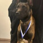 Άγνωστοι δηλητηρίασαν τον Echo που συμμετείχε σε πολύκροτες έρευνες – Τι έδειξε η  ιατροδικαστική έκθεση 