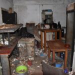 Δονούσα: Πρόστιμο 1,7 εκατ. ευρώ σε 63χρονο που κρατούσε «φυλακισμένες» 58 γάτες