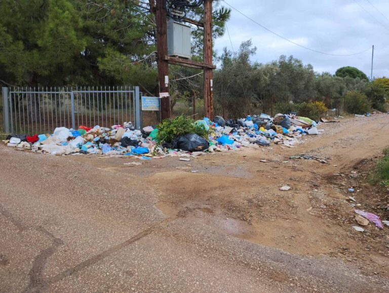 Σκουπίδια, δυσοσμία και αγανάκτηση: SOS από τις συνοικίες της Προποντίδας – Τι λένε οι κάτοικοι στο ET Magazine του Eleftherostypos.gr