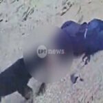 Καλαμάτα: Μάχη για τη ζωή του δίνει ο 76χρονος που του επιτέθηκε ροτβάιλερ [Βίντεο]