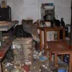 Δονούσα: 3 χρόνια φυλάκισης για τον 63χρονο που κρατούσε υποσιτισμένες 58 γάτες