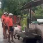 Φιλιππίνες: Πάνω από 150.000 άνθρωποι απομακρύνθηκαν από τις εστίες τους εν αναμονή του τυφώνα Kalmaegi