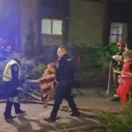 Βοσνία-Ερζεγοβίνη: Τουλάχιστον 12 νεκροί από πυρκαγιά σε οίκο ευγηρίας στην Τούζλα