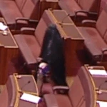 Σάλος στην Αυστραλία – Ακροδεξιά γερουσιαστής εμφανίστηκε με μπούρκα απαιτώντας την απαγόρευση της