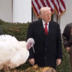 ΗΠΑ: O Τραμπ τήρησε το έθιμο με τις γαλοπούλες αλλά «στόχευσε» σε πολιτικούς αντιπάλους