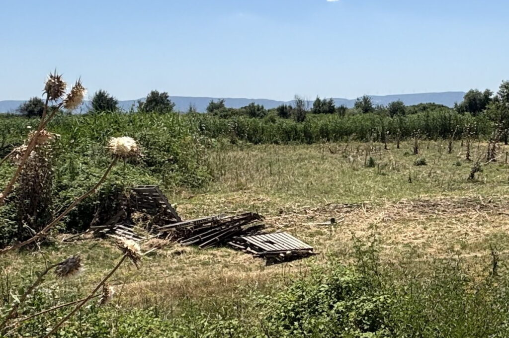 Καθαρό Δέλτα Έβρου, καθαρό μέλλον