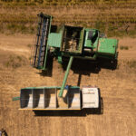 Σε τροχιά ανάπτυξης η κινόα στην Ελλάδα