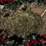 Θεσσαλονίκη: Ξήλωσαν και εξαφάνισαν τη μαρμάρινη πλάκα για τις κακοποιημένες γυναίκες από τη Νέα Παραλία