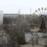 Ο μαύρος μύκητας του Τσερνόμπιλ που «τρώει» ακτινοβολία