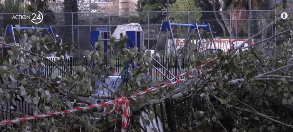 Χαϊδάρι: Δέντρο έπεσε σε παιδική χαρά – Στο σημείο βρίσκονταν μία γιαγιά με το εγγονάκι της [βίντεο]