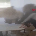 Σάλος στην Τουρκία: Οργισμένες αντιδράσεις για το βίντεο που δείχνει μαθητές με αυτισμό δεμένους στα θρανία