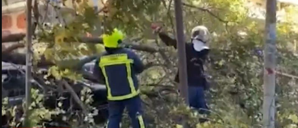 Θυελλώδεις άνεμοι σαρώνουν τη Θεσσαλονίκη – Εκατοντάδες πτώσεις δέντρων και καταστροφές – 710 κλήσεις δέχτηκε η Πυροσβεστική